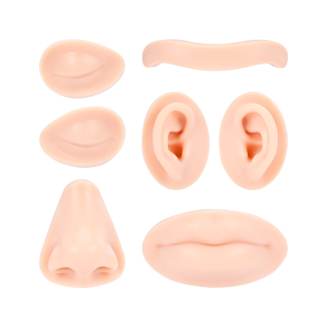 A Pound of Flesh - Vervangbare onderdelen voor tattoo-, PMU- en Piercing Head - Fitzpatrick Tone 2