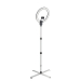 Daylight Aura Ring Lamp (EU Leads)