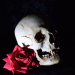 Opium Tattoo Gallery - Skulls and Roses Reference Photos USB door Filip Pasieka