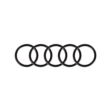 Pak met 5 O-Ringen voor Cheyenne Thunder en Spirit