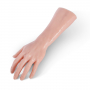 Lichaamsdelen - Linkerhand + Onderarm thumbnail